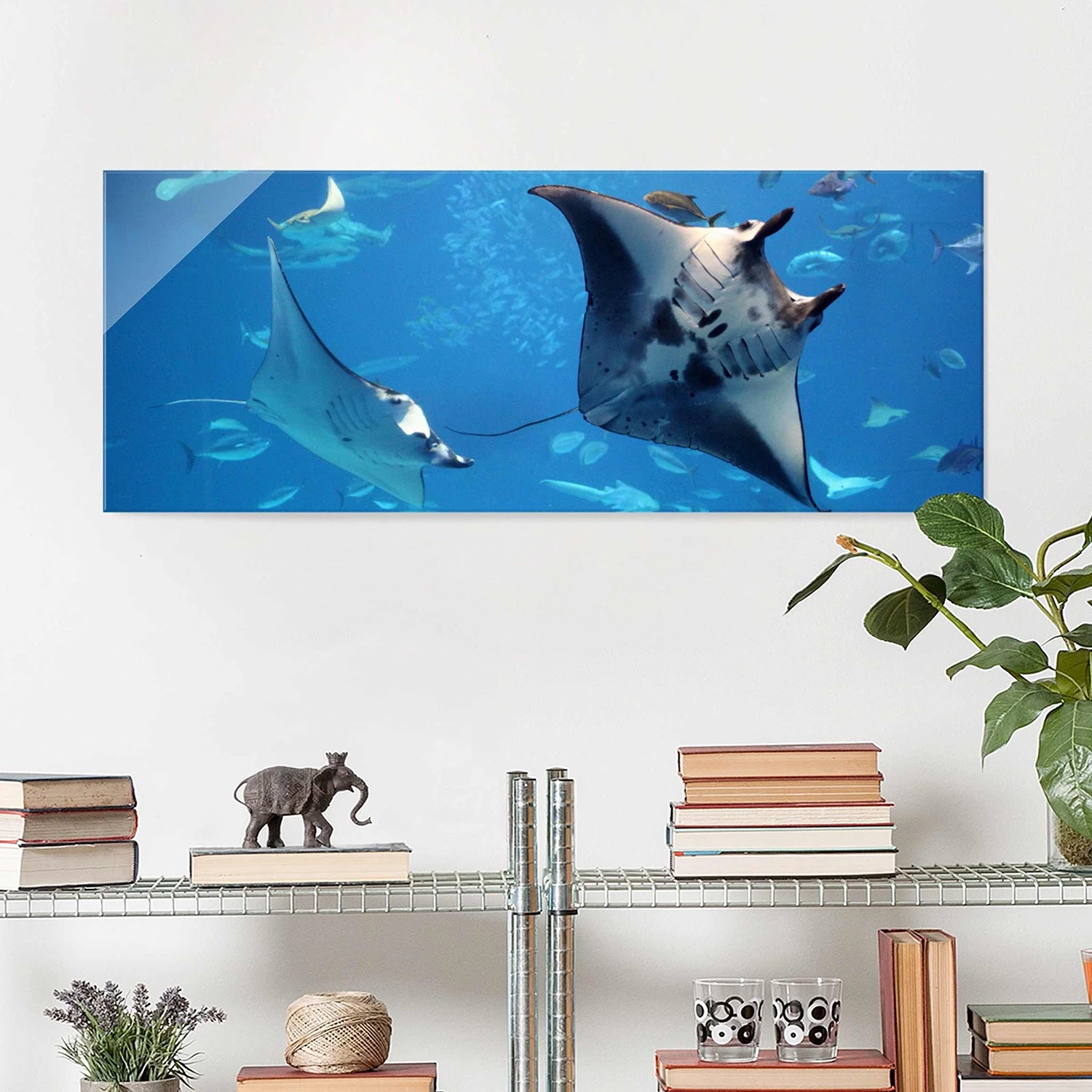 Bilderwelten Tableau en verre Manta Ray - Bleu - 125 x 50 x 0,4 cm - 125 x 50 cm â Image 3