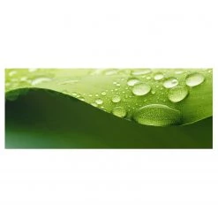 Bilderwelten Tableau en verre Drops of Nature - Vert - 125 x 50 x 0,4 cm - 125 x 50 cm