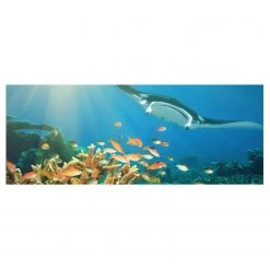 Bilderwelten Tableau en verre Corail - Bleu - 125 x 50 x 0,4 cm