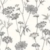 Superfresco Papier peint intissé Ombellifères - Noir / Beige - 0,52 x 10,05 x 0,02 m