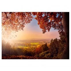 Artgeist Papier peint intissé Autumn Delight - Intissé - Multicolore - 200 x 140 cm