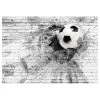 Artgeist Papier peint intissé Fußball Sport - Intissé - Noir / Blanc - 350 x 245 cm