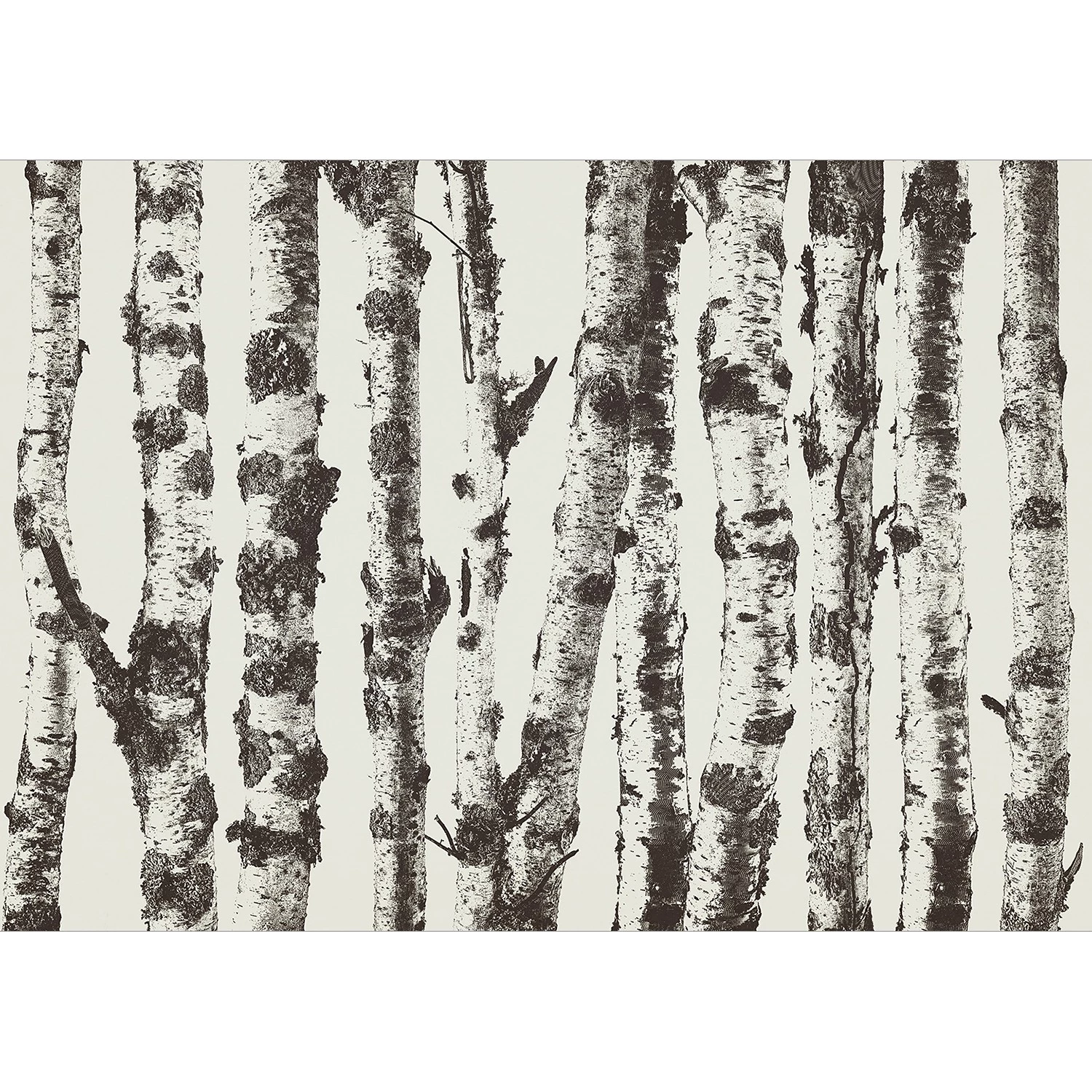 Artgeist Papier peint intissé Stately Birches - Intissé - Gris - 400 x 280 cm