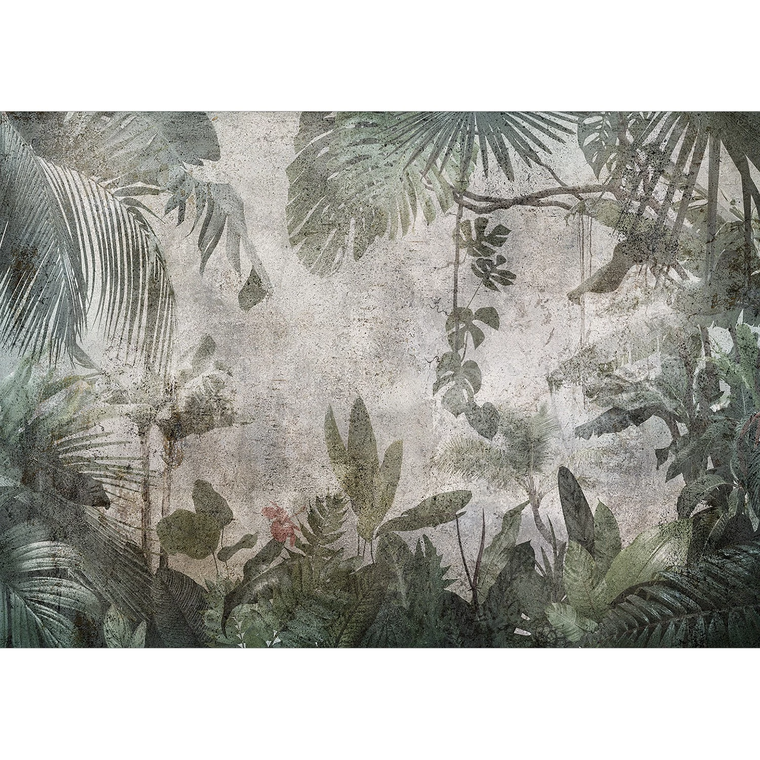Artgeist Papier peint intissé Rain Forest in Fog - Intissé - Gris / Vert - 100 x 70 cm