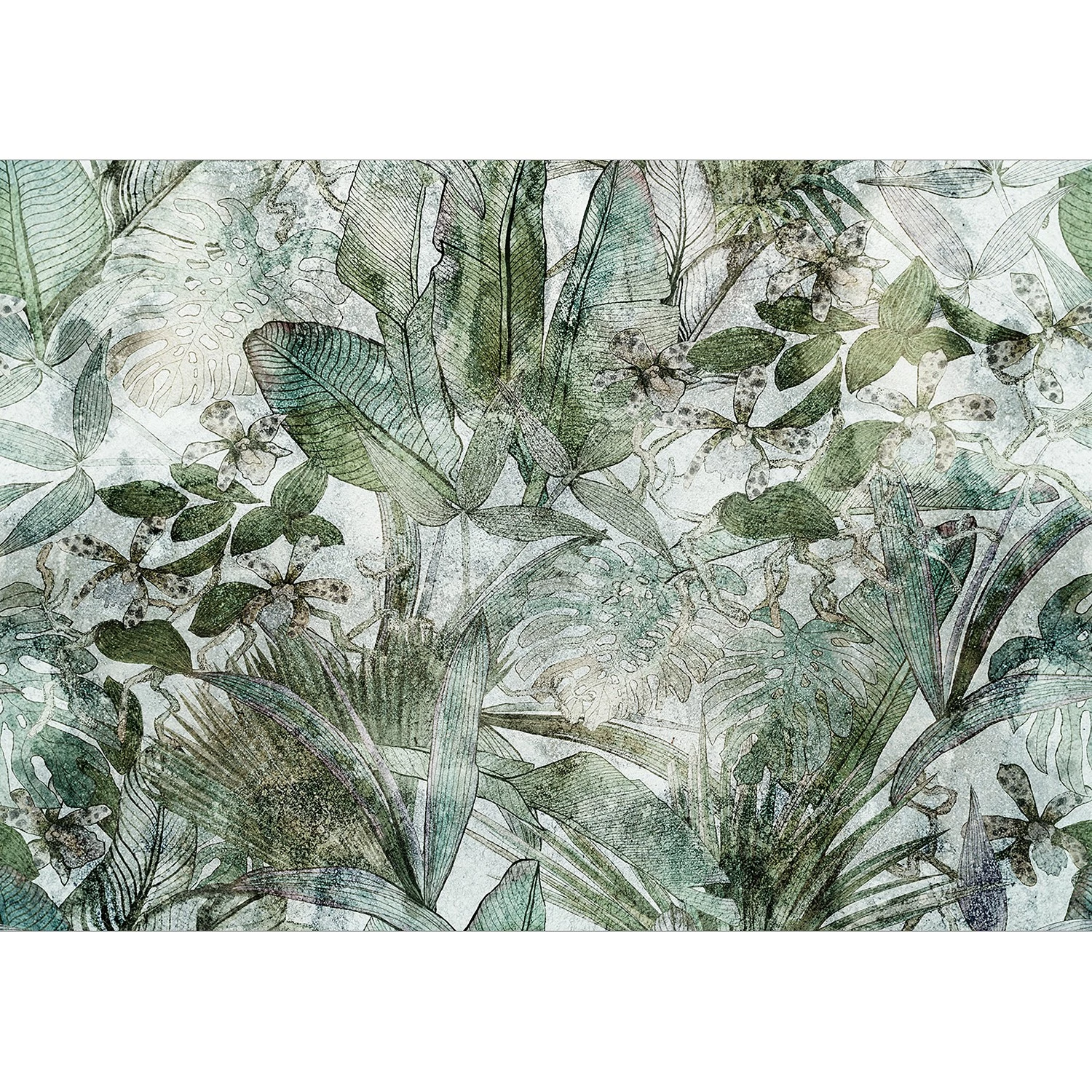 Artgeist Papier peint intissé Light Dew - Intissé - Vert / Beige - 250 x 175 cm