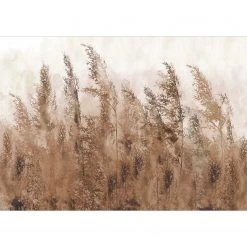 Artgeist Papier peint intissé Tall Grasses - Intissé - Marron / Gris - 400 x 280 cm