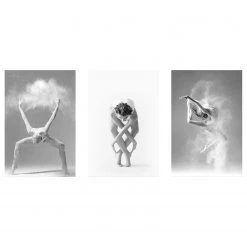 Artgeist Tableau déco Ballet Collection - Bois manufacturé et toile - Noir / Blanc