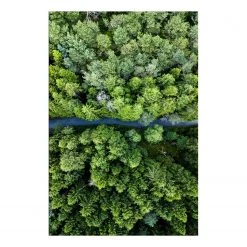 Artgeist Tableau déco Road Through Forest - Bois manufacturé et toile - Vert