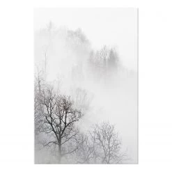 Artgeist Tableau déco Trees In The Fog - Bois manufacturé et toile - Noir / Blanc