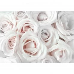 Artgeist Papier peint Satin Rose - Intissé - Blanc - 100 x 70 cm