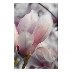 Artgeist Tableau déco Herald of Spring - Bois manufacturé et toile - Multicolore