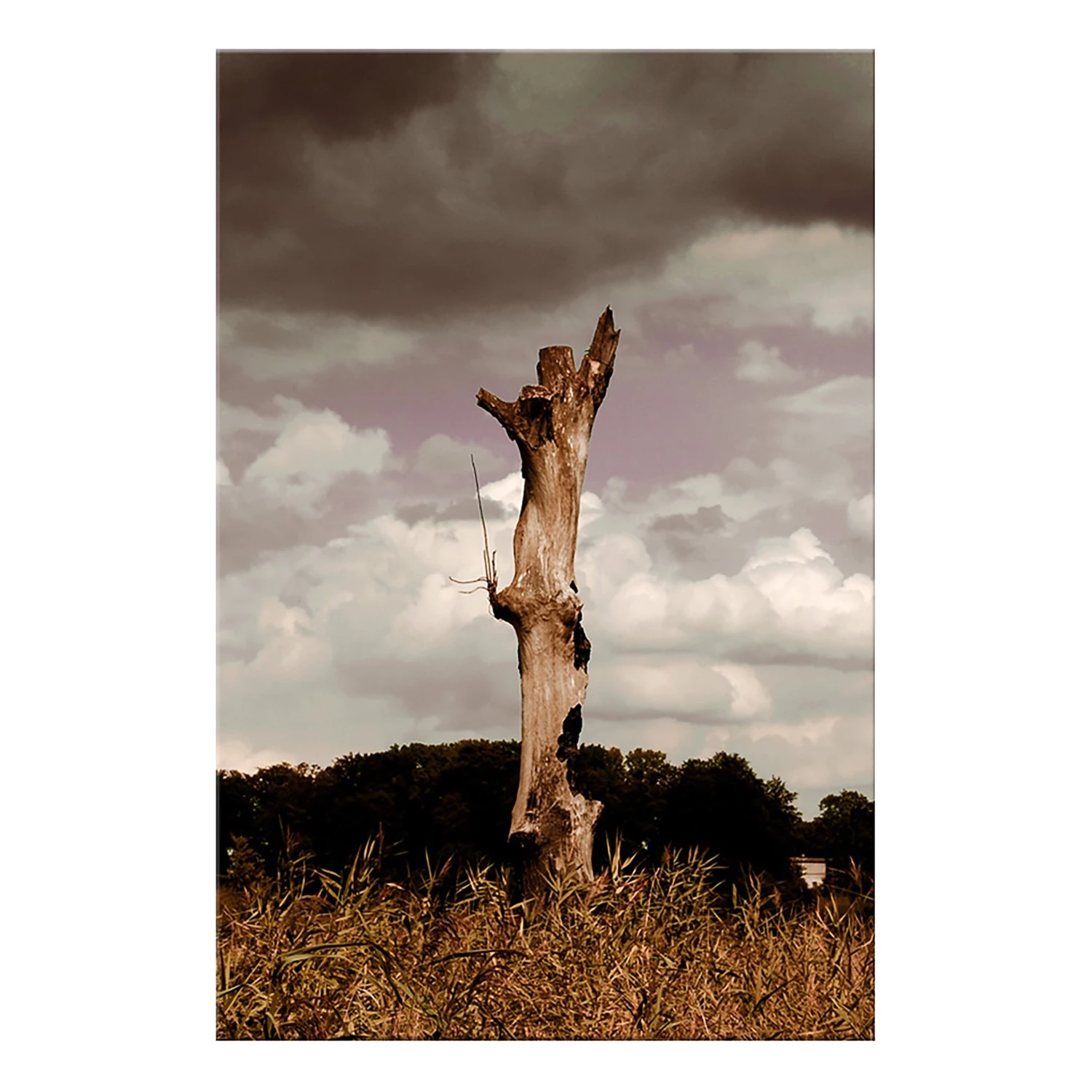 Artgeist Tableau déco Memory of Heaven - Bois manufacturé et toile - Multicolore