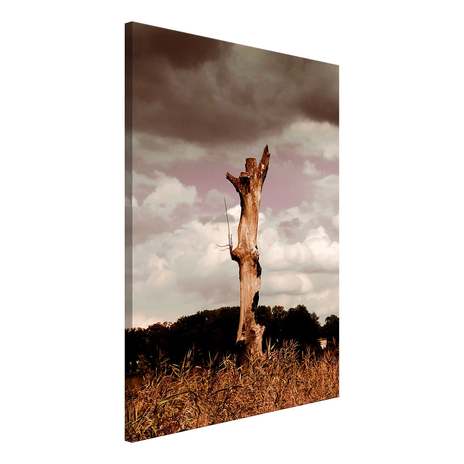 Artgeist Tableau déco Memory of Heaven - Bois manufacturé et toile - Multicolore – Image 3