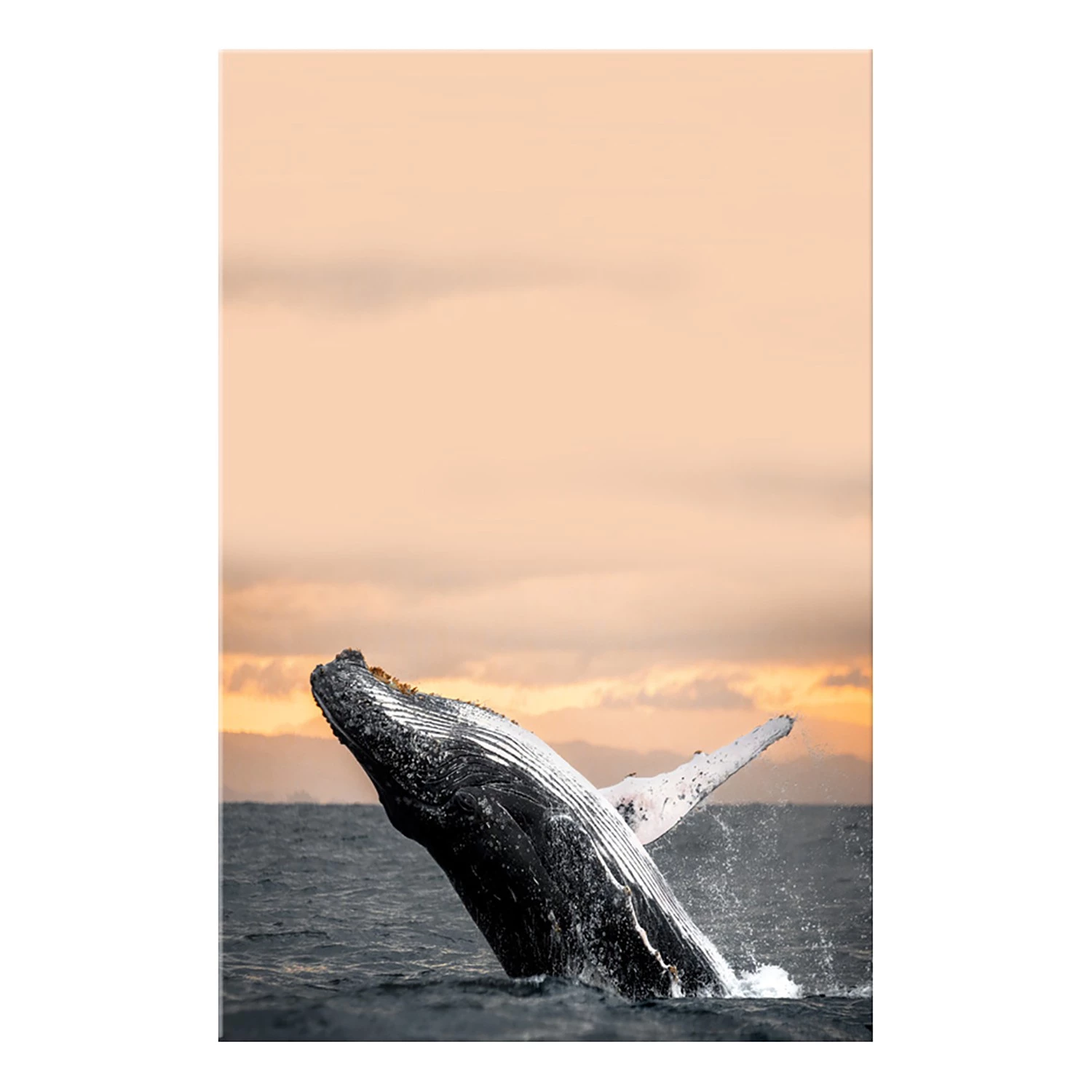 Artgeist Tableau déco Dance at Dawn - Bois manufacturé et toile - Multicolore