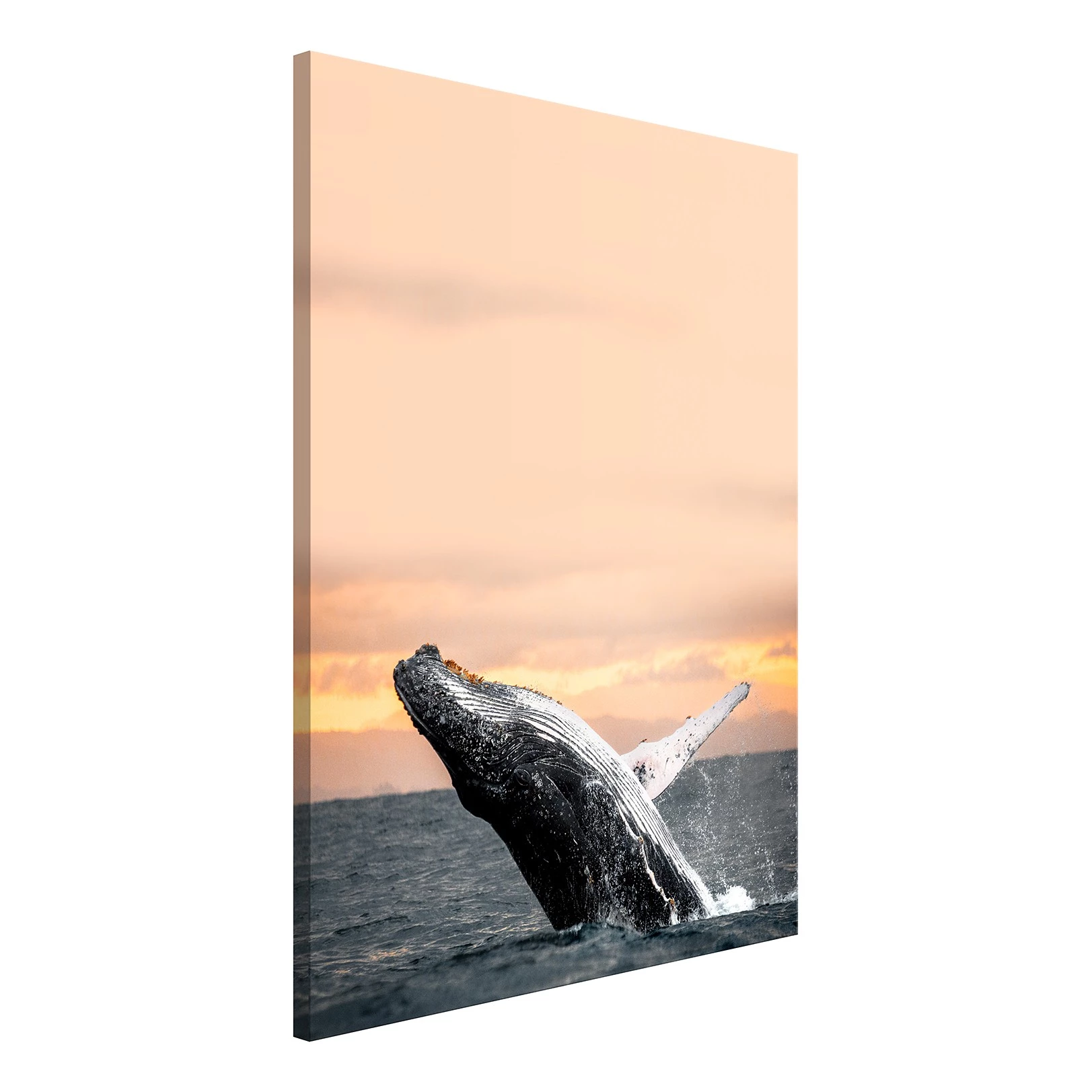 Artgeist Tableau déco Dance at Dawn - Bois manufacturé et toile - Multicolore – Image 3