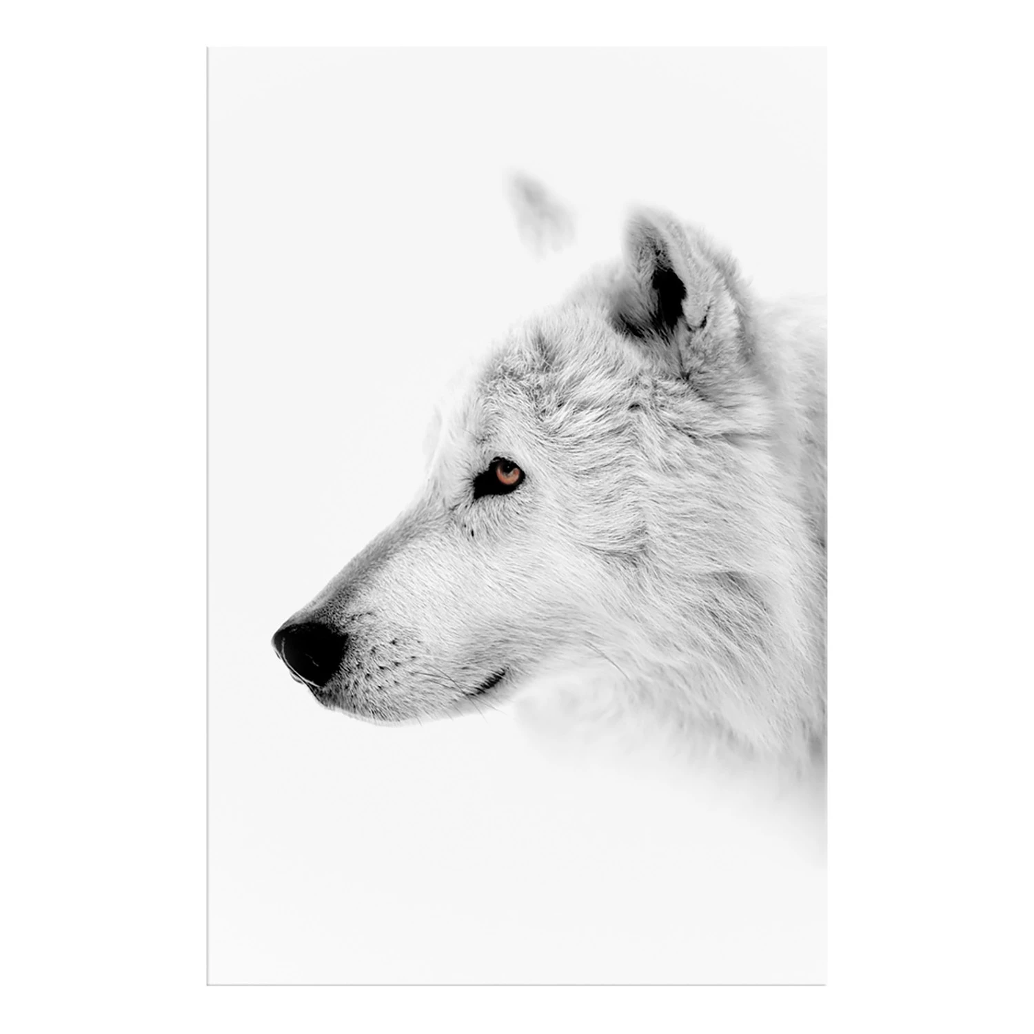 Artgeist Tableau déco Amber Gaze - Bois manufacturé et toile - Multicolore