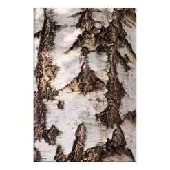 Artgeist Tableau déco Beautiful Structure - Bois manufacturé et toile - Multicolore