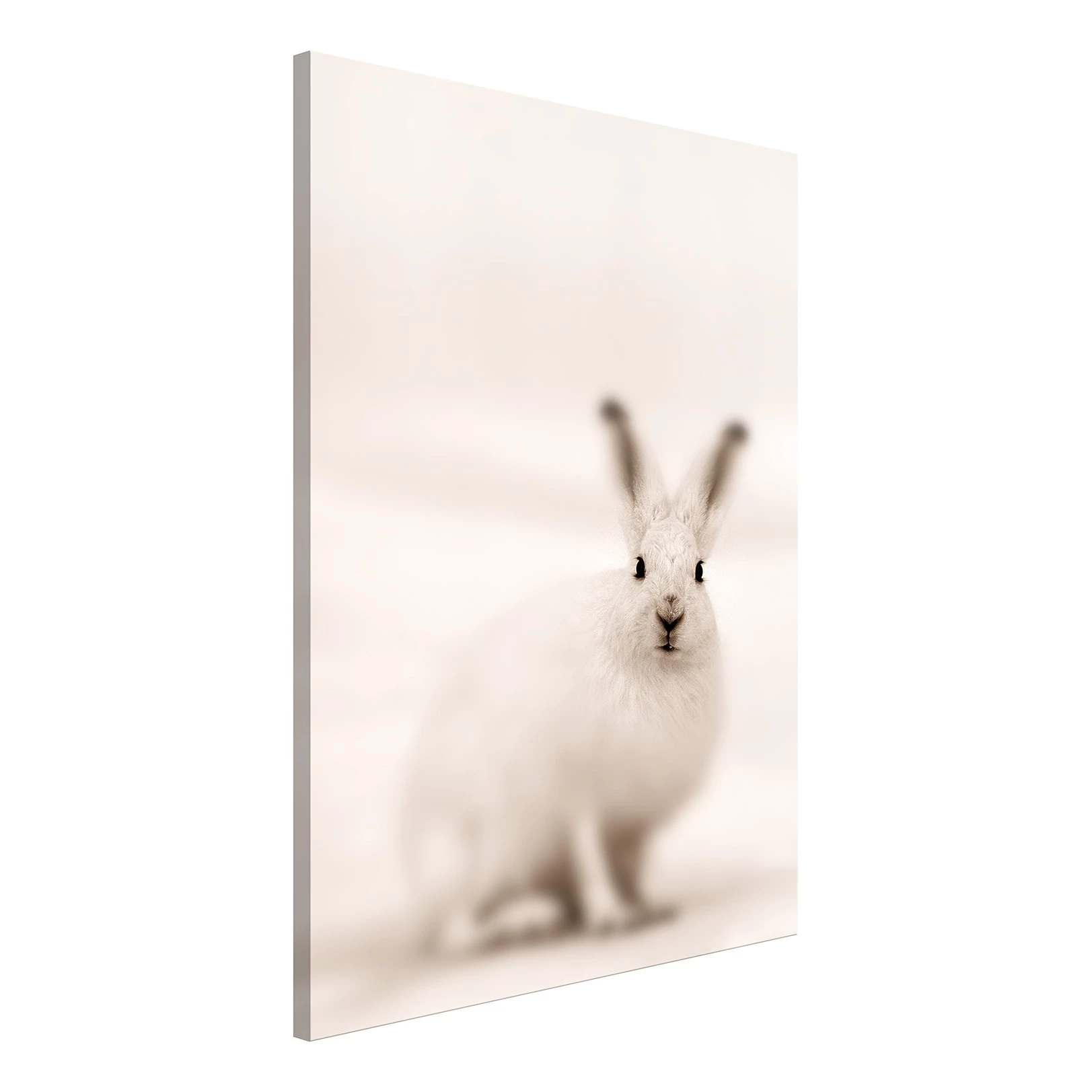 Artgeist Tableau déco Fearful Look - Bois manufacturé et toile - Beige – Image 3