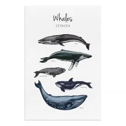Artgeist Tableau déco Whales - Bois manufacturé et toile - Multicolore