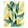 Komar Papier peint intissé Lemon Fresh - Intissé - Jaune / Gris