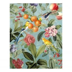 Komar Papier peint intissé Birds and Berries - Intissé - Multicolore