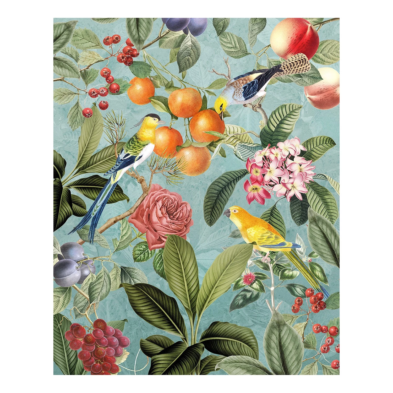 Komar Papier peint intissé Birds and Berries - Intissé - Multicolore