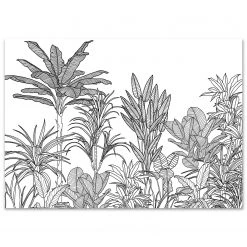 Komar Papier peint intissé Savanna - Intissé - Noir / Blanc