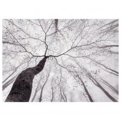 A.S. Création Impression sur toile Pavlasek - Polyester PVC / Épicéa - Blanc / Noir