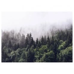 A.S. Création Impression sur toile Foggy Forest - Polyester PVC / Épicéa - Vert / Blanc