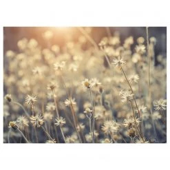 A.S. Création Impression sur toile Mexican Daisy - Polyester PVC / Épicéa - Beige / Blanc