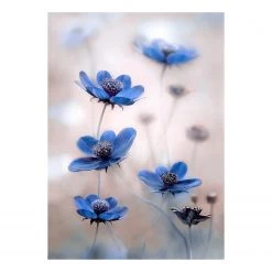 A.S. Création Tableau déco Blue cosmos - Polyester PVC / Épicéa - Bleu / Blanc