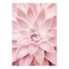 A.S. Création Impression sur toile Pink Succulents - Polyester PVC / Épicéa - Rose / Rose