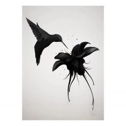 A.S. Création Tableau déco Hummingbirds - Polyester PVC / Épicéa - Blanc / Noir