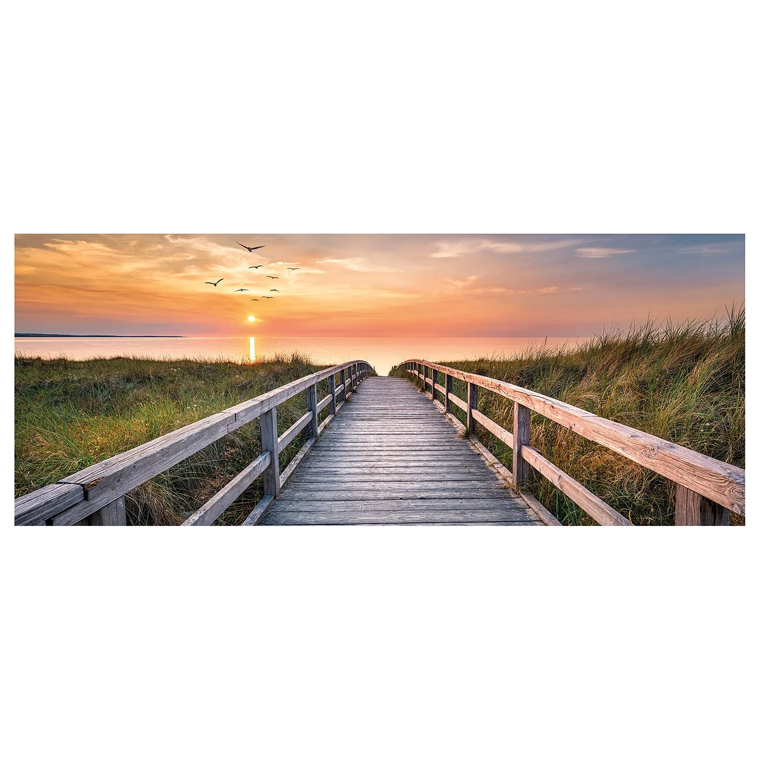 A.S. Création Impression sur toile North Sea Dunes - Polyester PVC / Épicéa - Vert / Orange