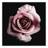 A.S. Création Impression sur toile Single Rose - Polyester PVC / Épicéa - Rose / Noir