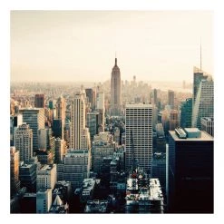 A.S. Création Impression sur toile Skyline - Polyester PVC / Épicéa - Bleu / Marron