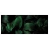 A.S. Création Impression sur toile Leaves Background - Polyester PVC / Épicéa - Vert / Noir