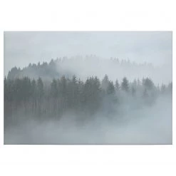 A.S. CrĂ©ation Impression sur toile Misty Forest - Polyester PVC / ĂpicĂ©a - Gris / Blanc