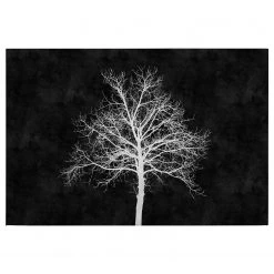 A.S. Création Tableau déco Blackboard - Polyester PVC / Épicéa - Noir / Blanc