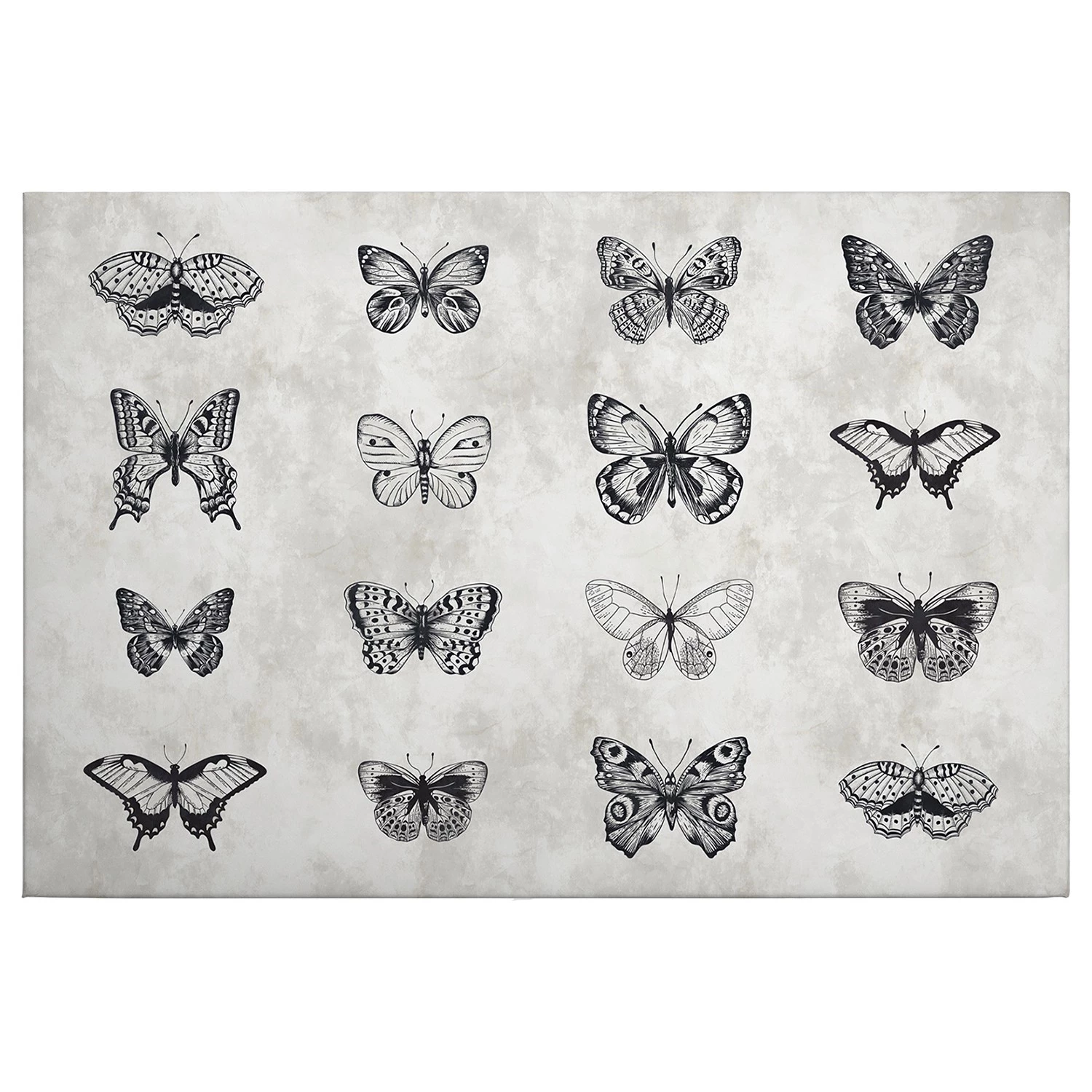A.S. Création Tableau déco papillon - Polyester PVC / Épicéa - Gris / Noir