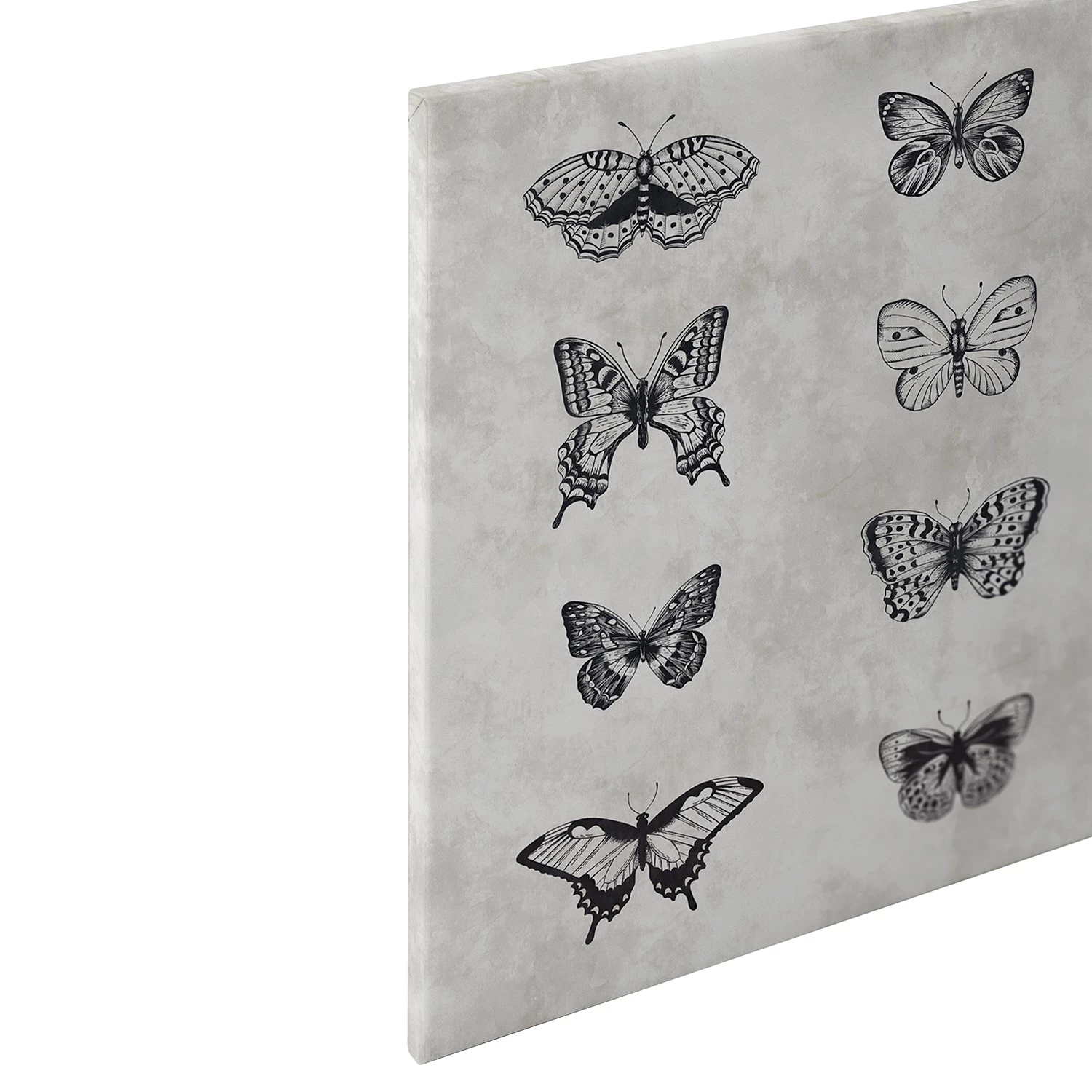 A.S. Création Tableau déco papillon - Polyester PVC / Épicéa - Gris / Noir – Image 7