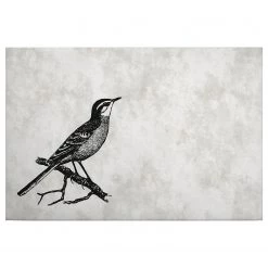 A.S. Création Tableau déco Sketchpad birds - Polyester PVC / Épicéa - Gris / Noir