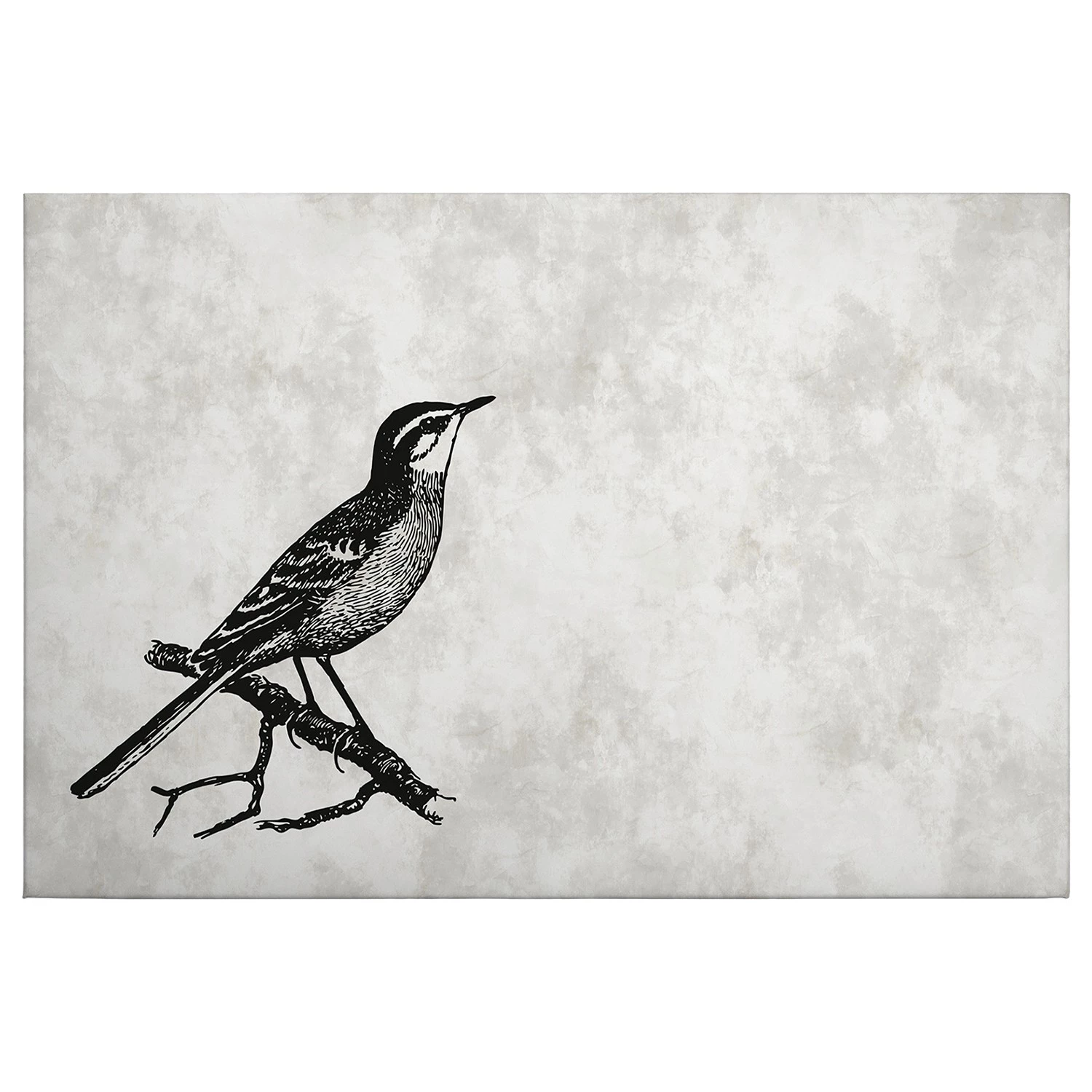 A.S. Création Tableau déco Sketchpad birds - Polyester PVC / Épicéa - Gris / Noir
