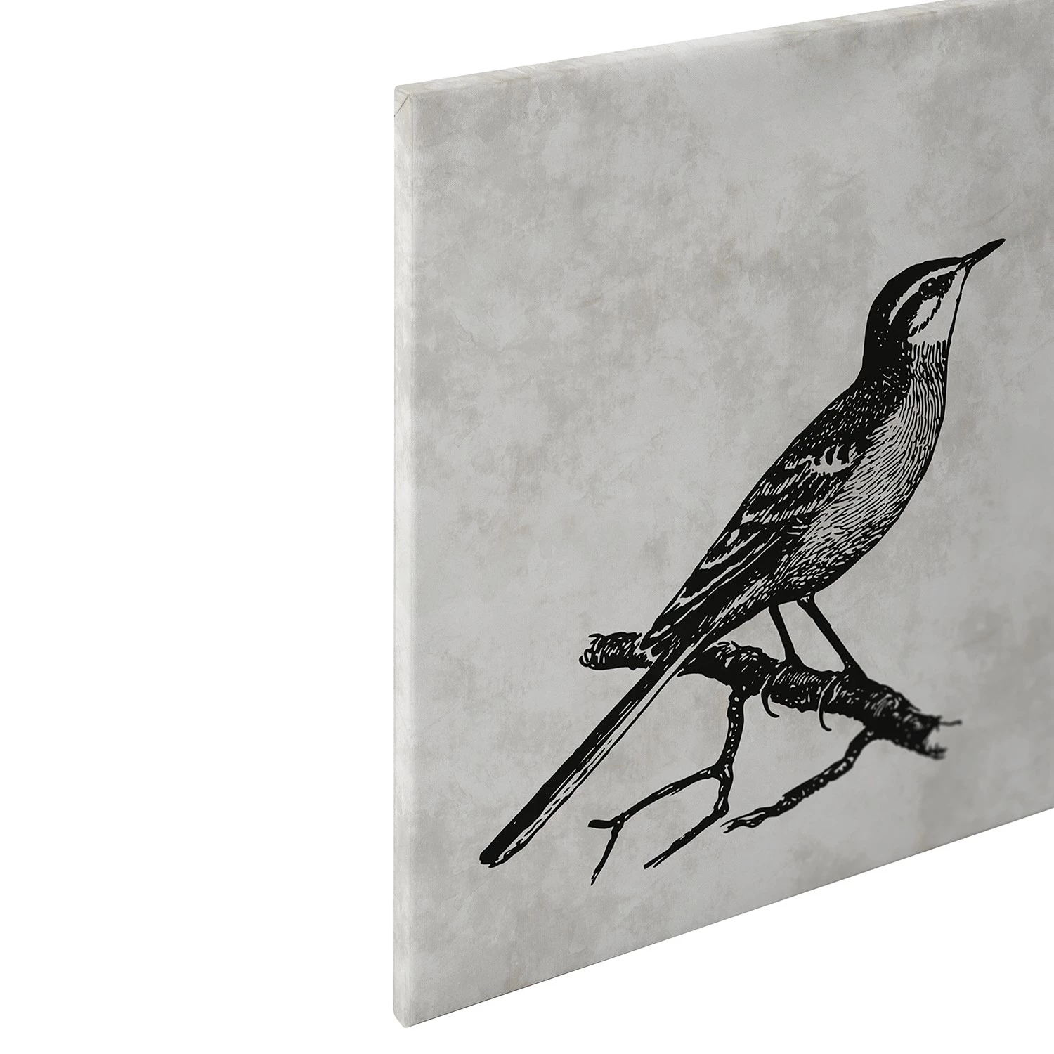 A.S. Création Tableau déco Sketchpad birds - Polyester PVC / Épicéa - Gris / Noir – Image 7