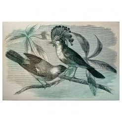 A.S. Création Tableau déco birds Vintage - Polyester PVC / Épicéa - Vert / Bleu