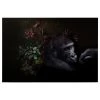 A.S. Création Tableau déco Gorilla Wildlife - Polyester PVC / Épicéa - Noir / Gris