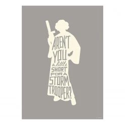 Komar Tableau déco Star Wars Silhouette Leia - Gris / Beige - Papier - 50 x 70 cm
