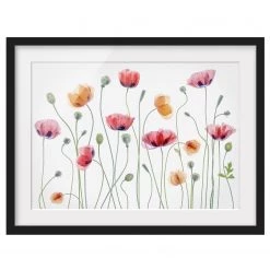 Bilderwelten Tableau déco Fête du coquelicot II - Papier / Pin - Blanc - 100 x 70 cm