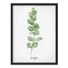 Bilderwelten Tableau déco Eucalyptus botanique - Papier / Pin - Blanc - 50 x 70 cm