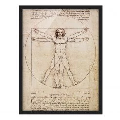 Bilderwelten Tableau déco Da Vinci V - Papier / Pin - Marron - 70 x 100 cm